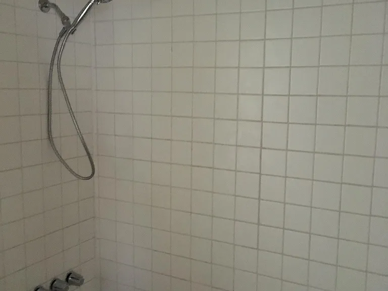 Shower/tub