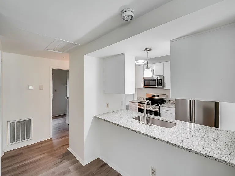5001 Forest Mountain Ct — Photo 11