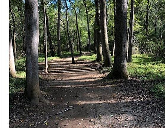 5th image of 195 Logan Crossing Dr #24