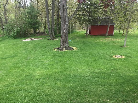 Backyard - From doorwall