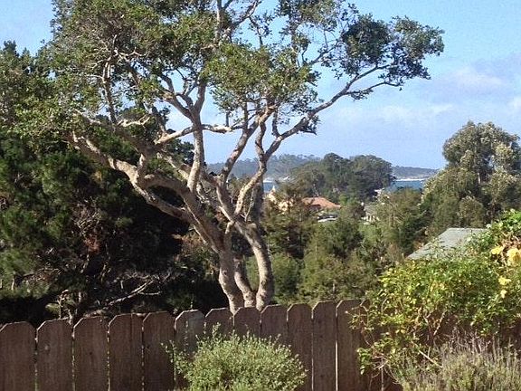 View of Point Lobos & Ocean