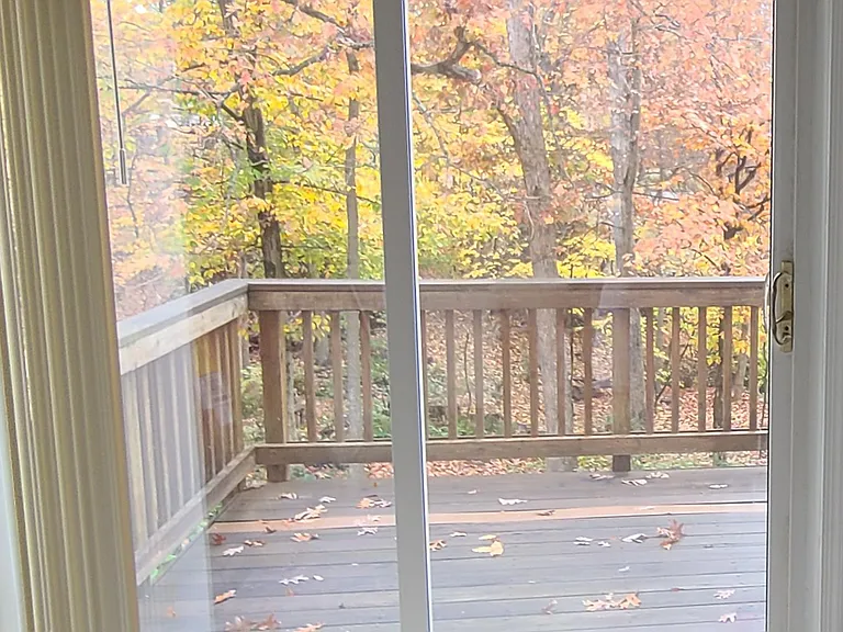 Wooded lot