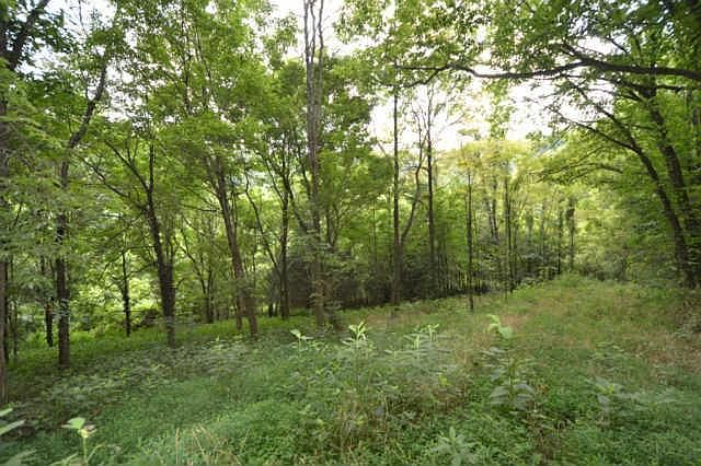1st image of 62 Bishop Hollow Ln