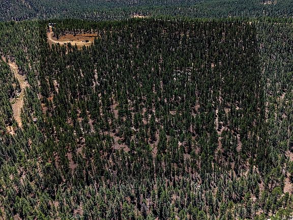 5th image of Timber Valley Dr #43C