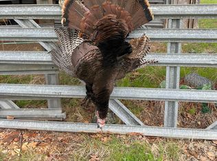 11615 State Highway 32, Stockton, MO 65785