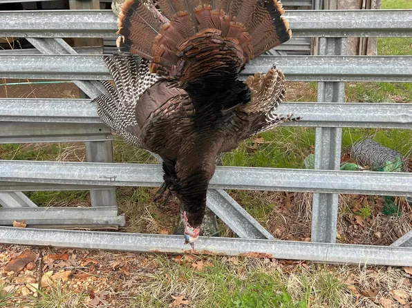 11615 State Highway 32, Stockton, MO 65785