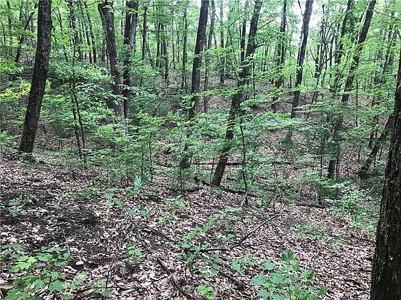5th image of 0 Grey Owl Dr