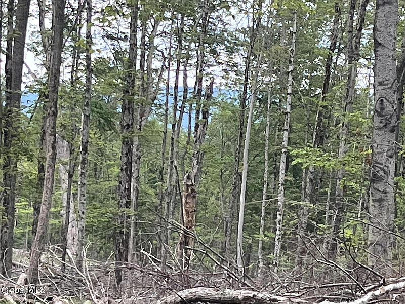 4th image of 172 Crandall Road