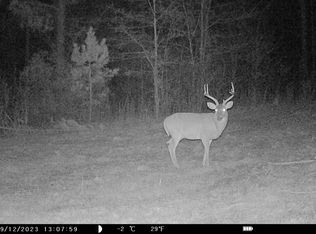 180/AC Hatcher Rd, Georgetown, GA 39854