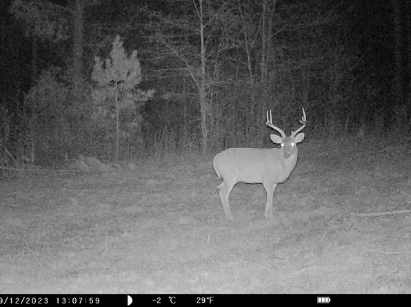 180/AC Hatcher Rd, Georgetown, GA 39854