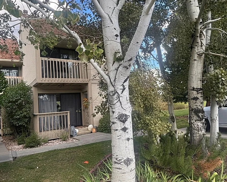 27 Bancroft Ct