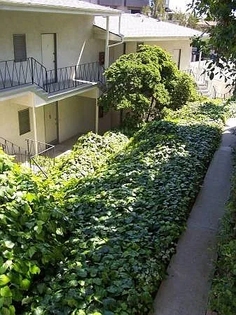 667-669 Levering Ave — Photo 5