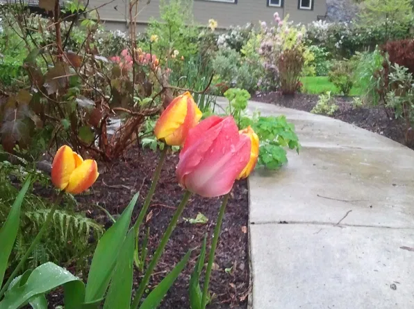 9386 Ferncliff Ave NE, Bainbridge Island, WA 98110