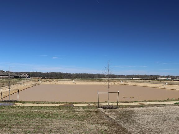 Lake view from backyard