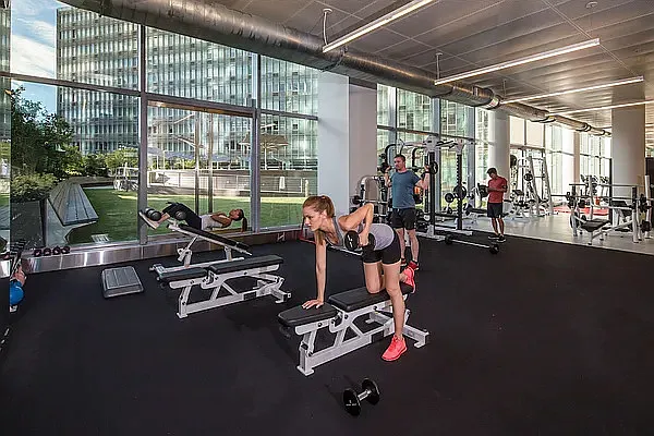 Rented by Platinum Properties | media 75