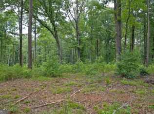 91 Askin Place Rd, Culloden, GA 31016
