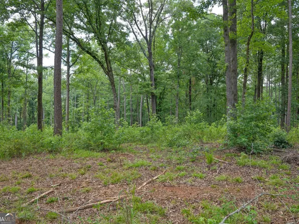 91 Askin Place Rd, Culloden, GA 31016