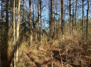 Browns Bridge Rd, Hattiesburg, MS 39401