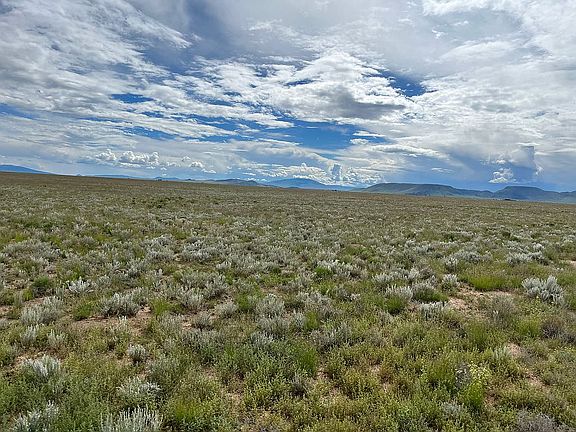4th image of Frontera Trl #14