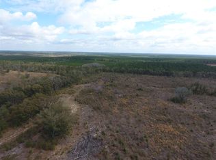 Vacant Ne Coriander Loop #0, Pinetta, FL 32350