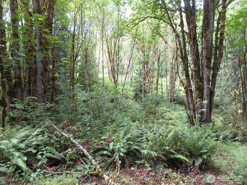 3rd image of 0 Lot 11 Valley View Drive