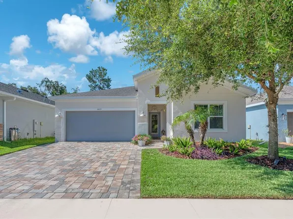 14115 Carissa Meadows Ct, Riverview, FL 33569
