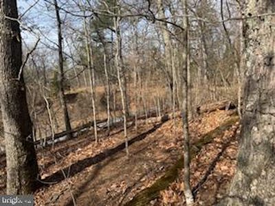 136 Cannon Hill Rd, Hedgesville, WV, 25427