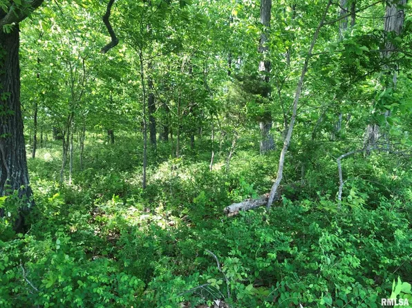 0 Fish Farm Rd, Golconda, IL 62938