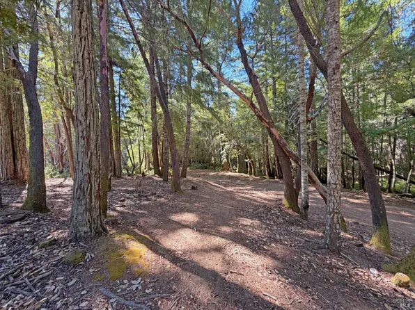 25023 Robin Circle, Willits, CA 95490