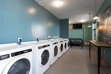 Rented by Bold New York