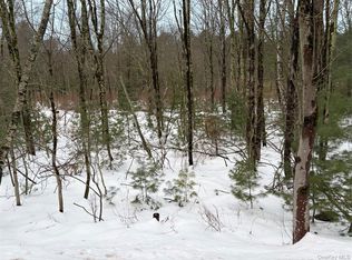 0 Moscoe Rd, White Lake, NY 12786