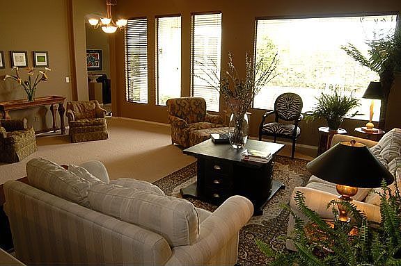 Large windows, 10 ft ceilings and designer paint throughout!