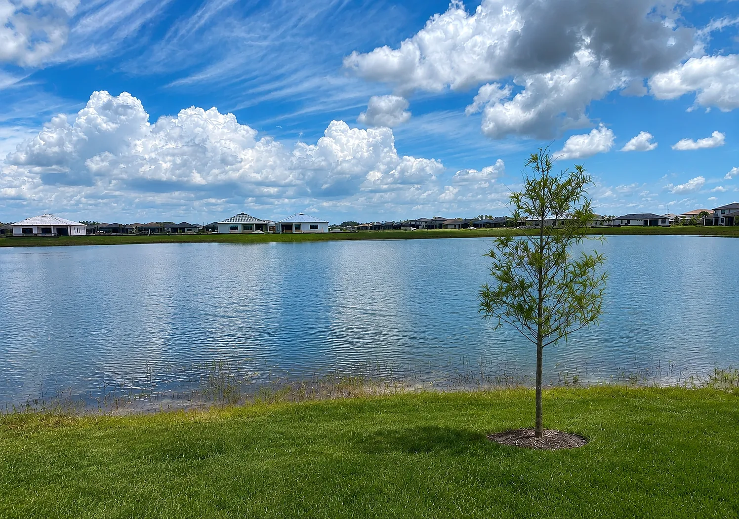 4 bed, 2724 sqft, $3,995 — Photo 2