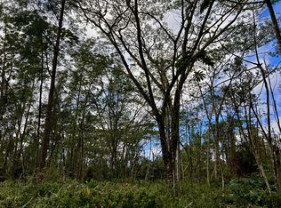 14-3512 Kapu Ln LOT 168, Pahoa, HI 96778