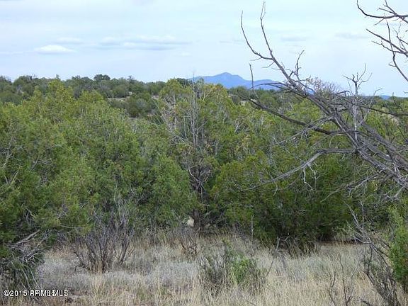 5th image of Lot 100 Juniperwood Ranch #100