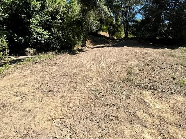 garden area 2