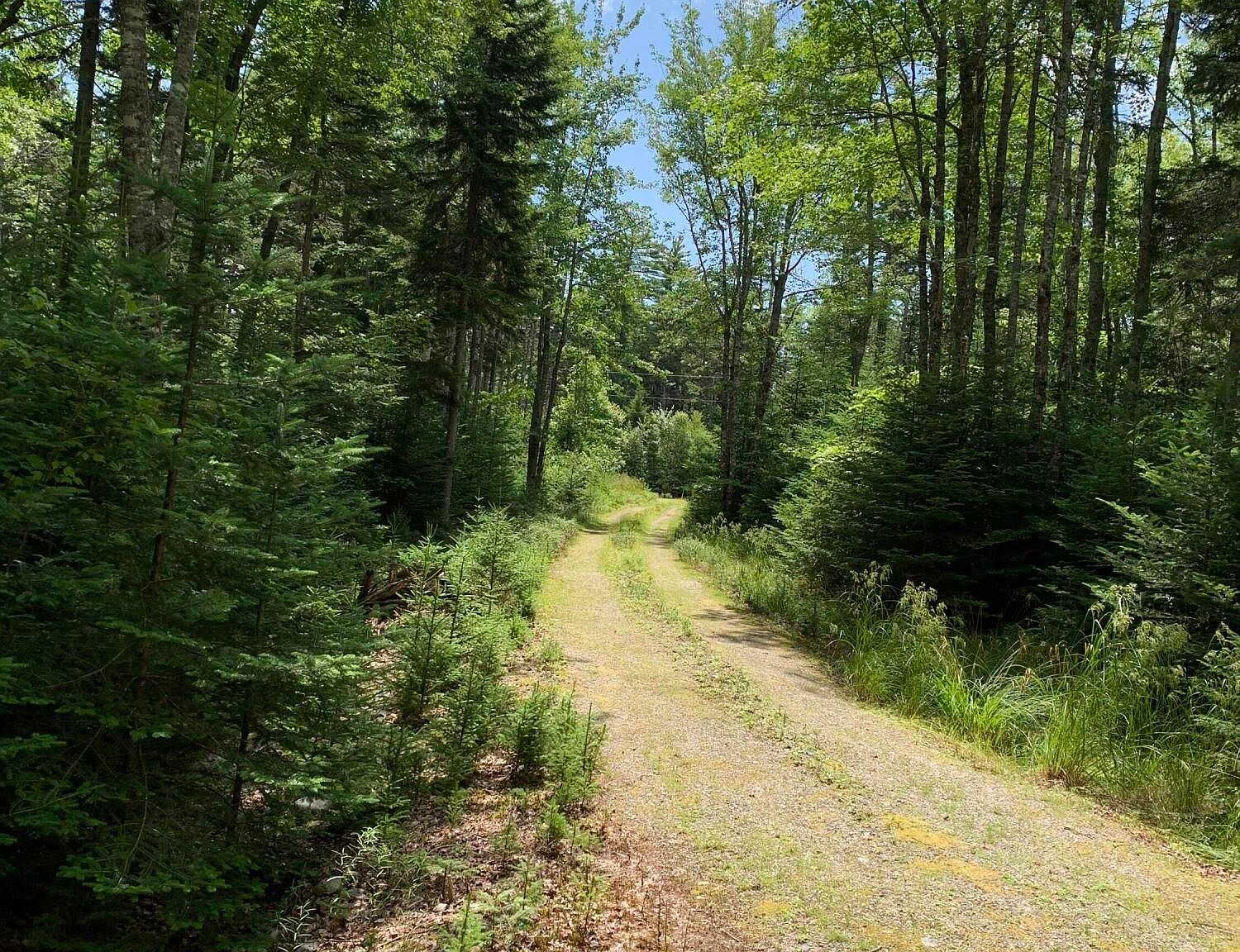 11 Missy Way Lot 102, Steuben, ME 04680 MLS 1567485 Zillow