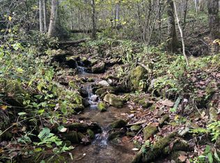 0 Licklog Rd, Bryson City, NC 28713