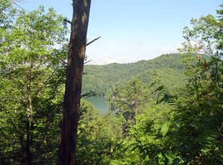 79-3 Gobblers Roost Rd, Bryson City, NC 28713