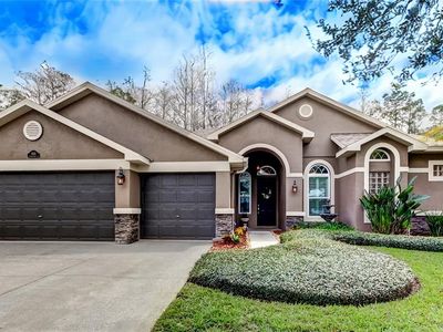 14115 Lincolnshire Ct, Tampa, FL, 33626