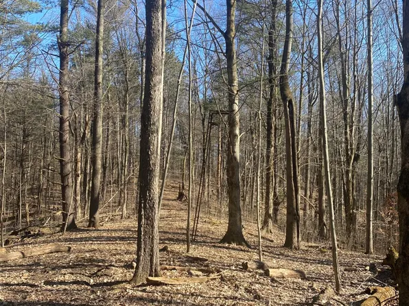 20200 Dutch Settlement St, Cassopolis, MI 49031