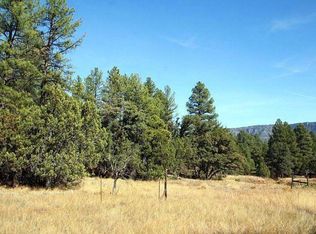 3552 N Foothill Rd, Pine, AZ 85544