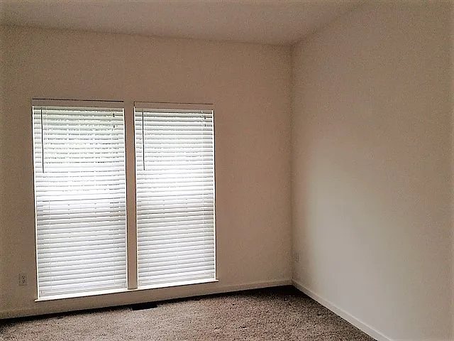 111 Leather Leaf Ln — Photo 8
