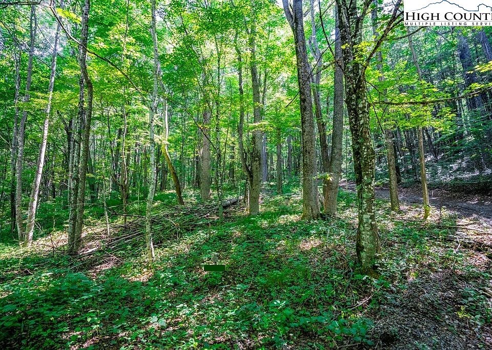1st image of TBD Little Bear Run