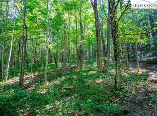 Little Bear Run, Zionville, NC 28698
