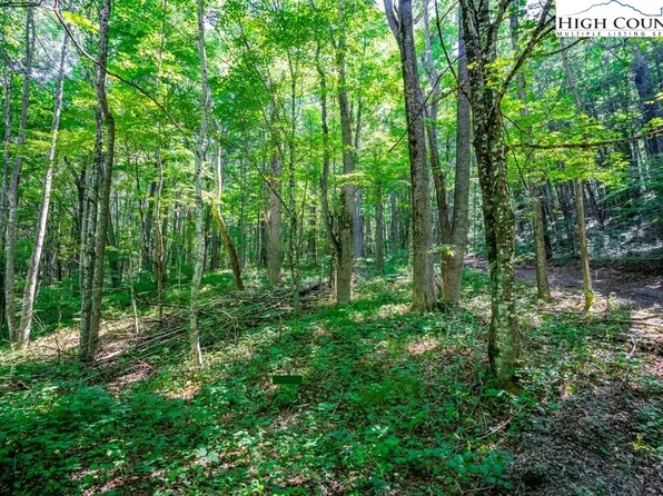 TBD Little Bear Run, Zionville, NC 28698