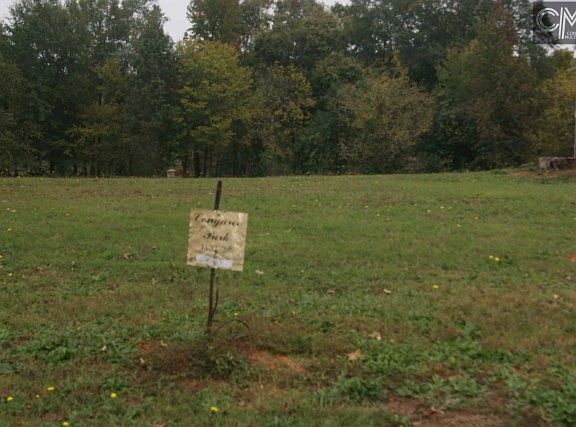 2nd image of 229 Congaree Park Dr