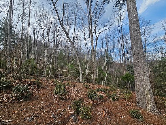 5th image of 2 Widow Mountain Dr