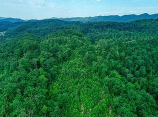 0 Elbow City Rd, Rogersville, TN 37857