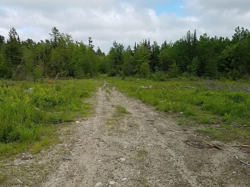 2nd image of 137 Blackswoods Rd